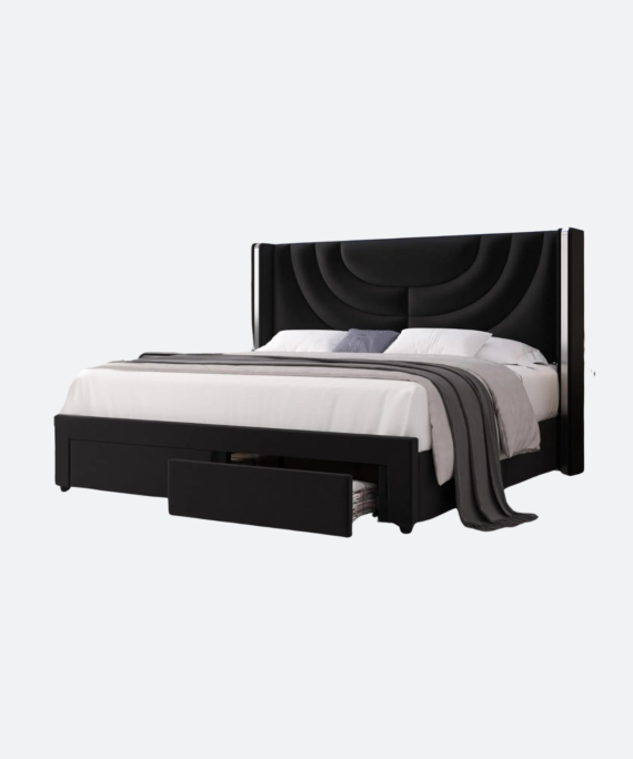 Modern LED Queen Bed Frame with 2 Storage Drawers and Solid Wooden Slats