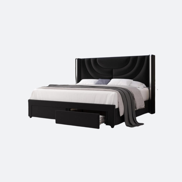 Modern LED Queen Bed Frame with 2 Storage Drawers and Solid Wooden Slats